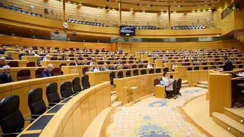 El senador del Partido Popular, Pablo González Menéndez, durante el Pleno del Senado El senador del Partido Popular, Pablo González Menéndez, durante el Pleno del Senado