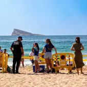 Nacen diez tortugas "de Benidorm" dos meses después de que su madre desovara en la playa de Poniente Nacen diez tortugas "de Benidorm" dos meses después de que su madre desovara en la playa de Poniente