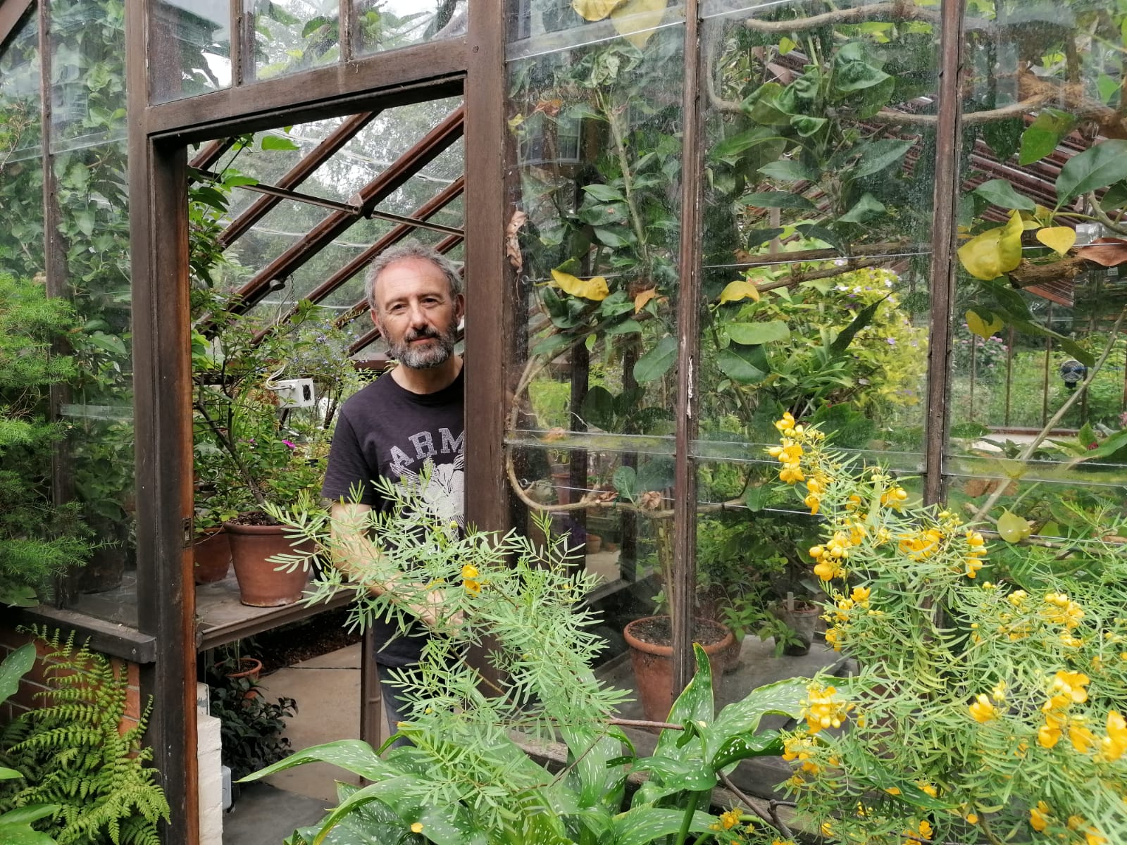 ¿Qué es la jardinosofía? ¿Qué es la jardinosofía?