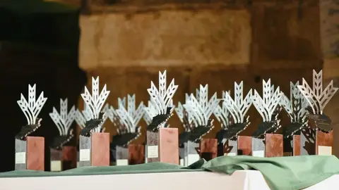 Los Premios Espiga "soplan" sus 25 velas en un acto en el Teatro Romano de Mérida Los Premios Espiga "soplan" sus 25 velas en un acto en el Teatro Romano de Mérida