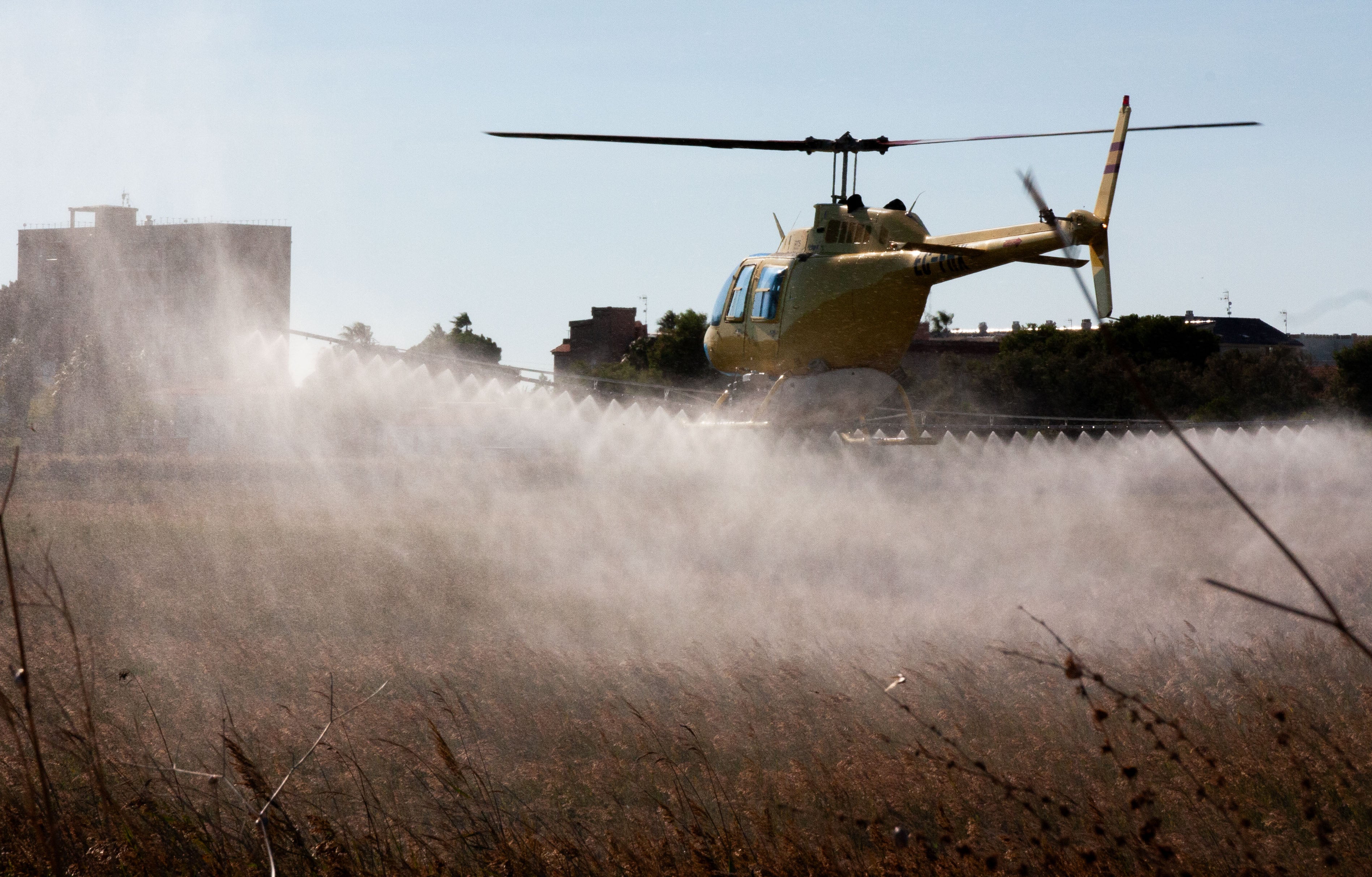 La Diputación inicia los vuelos de tratamientos contra los mosquitos en las zonas más húmedas de Castellón La Diputación inicia los vuelos de tratamientos contra los mosquitos en las zonas más húmedas de Castellón