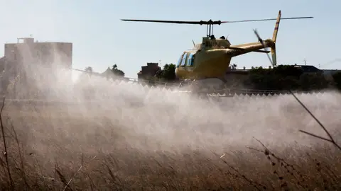 La Diputación inicia los vuelos de tratamientos contra los mosquitos en las zonas más húmedas de Castellón La Diputación inicia los vuelos de tratamientos contra los mosquitos en las zonas más húmedas de Castellón