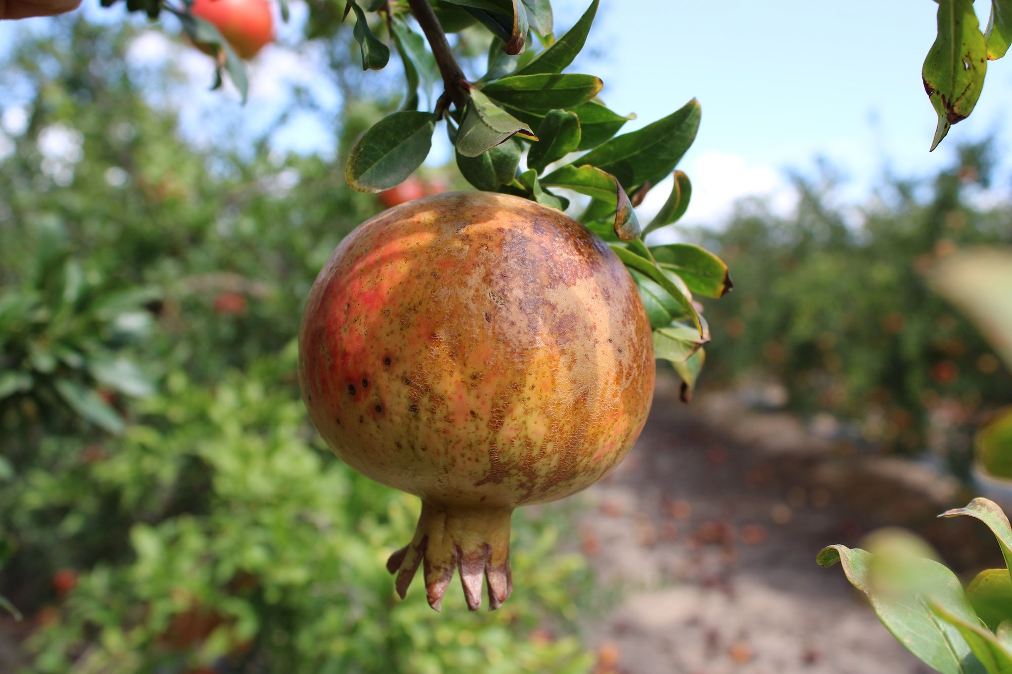 ASAJA y Riegos de Levante coinciden en que el Vertido Cero es una prioridad ASAJA y Riegos de Levante coinciden en que el Vertido Cero es una prioridad