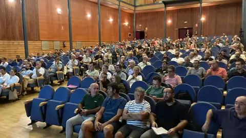IV JORNADAS CITRÍCOLAS IV JORNADAS CITRÍCOLAS