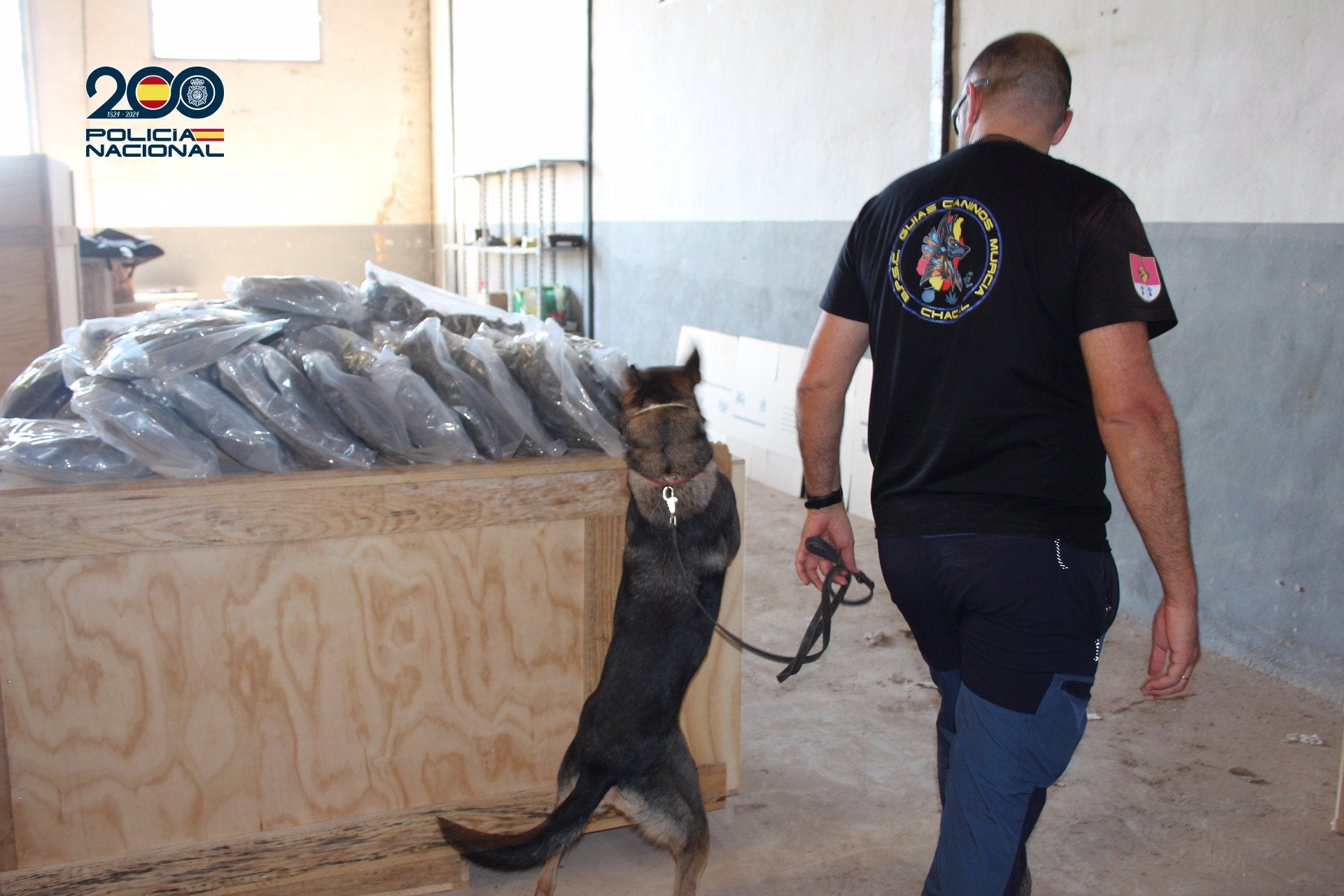 Desmantelada red criminal en Los Alcázares con 135 kilos de marihuana incautados Desmantelada red criminal en Los Alcázares con 135 kilos de marihuana incautados