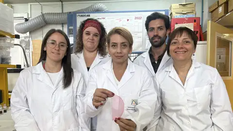 El equipo de la UA que ha logrado este hito científico en beneficio del consumidor El equipo de la UA que ha logrado este hito científico en beneficio del consumidor