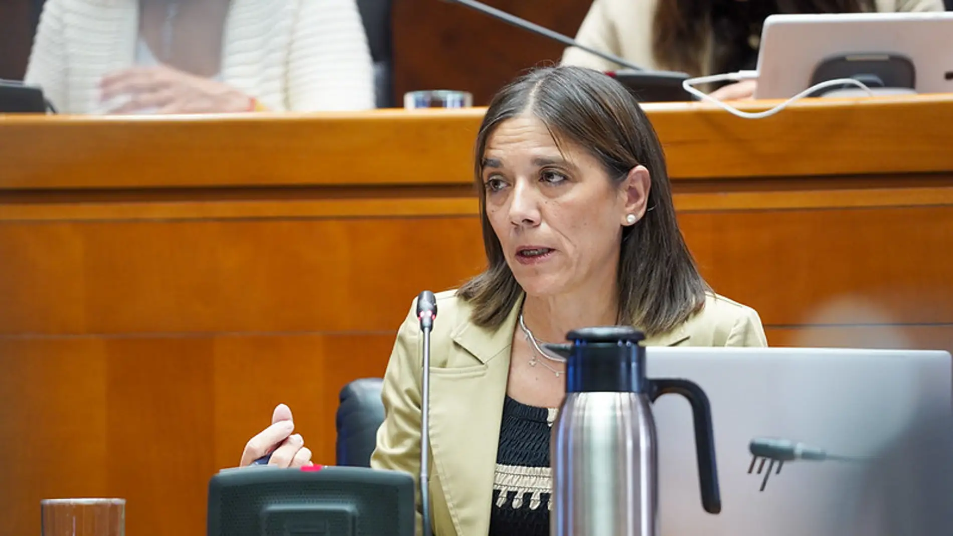 La interventora, Ana Gómez, durante su comparecencia parlamentaria La interventora, Ana Gómez, durante su comparecencia parlamentaria