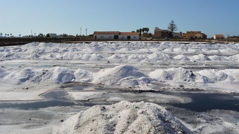 Salinas de Marchamalo