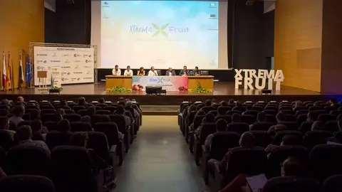 El IV Foro Ibérico de Fruta de Hueso reunirá en FEVAL, en Don Benito a expertos de 6 países para abordar innovaciones en el sector El IV Foro Ibérico de Fruta de Hueso reunirá en FEVAL, en Don Benito a expertos de 6 países para abordar innovaciones en el sector
