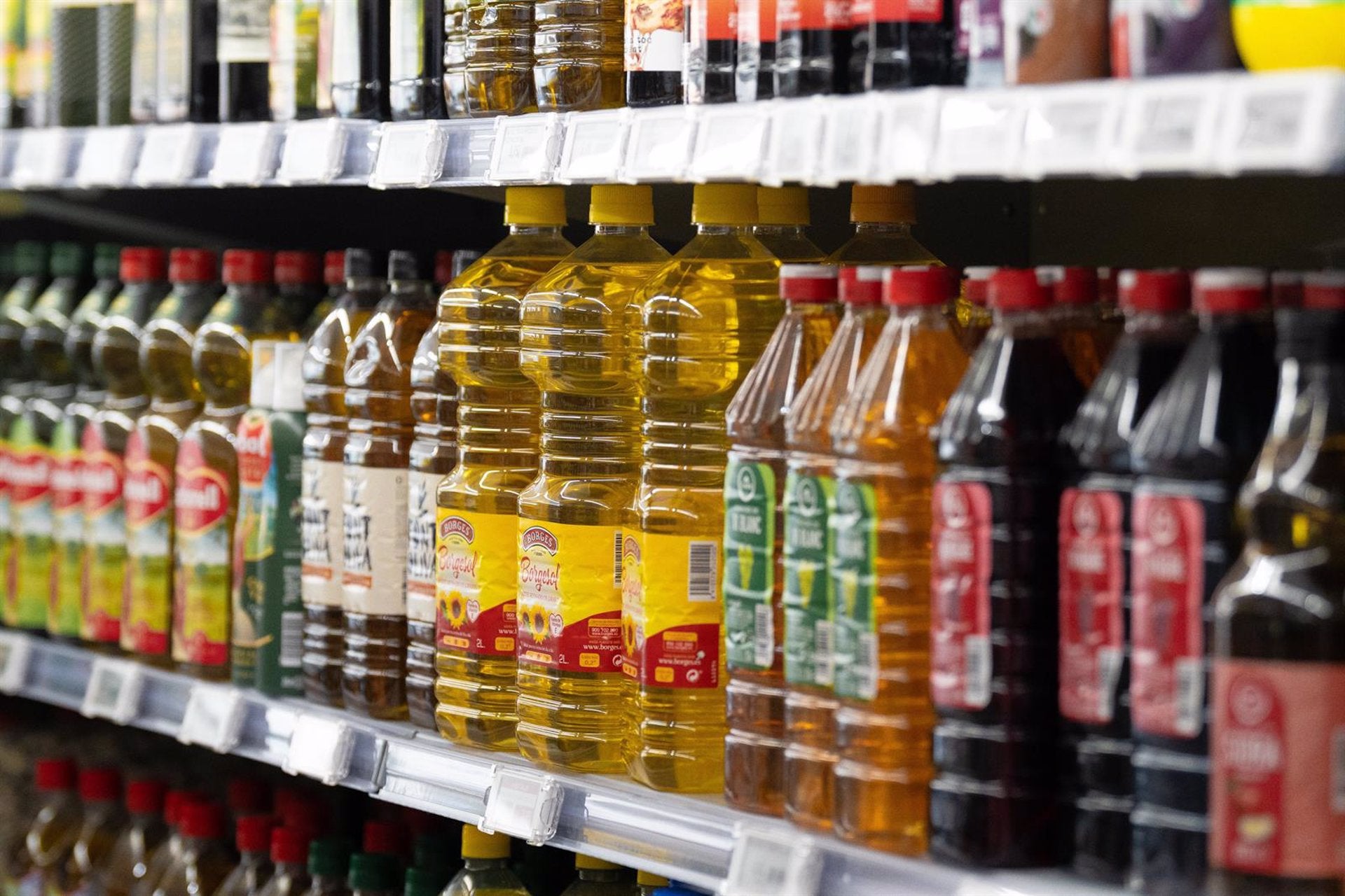 VOTA: ¿Cree que acierta el Gobierno al retirar las bonificaciones al IVA de los alimentos? VOTA: ¿Cree que acierta el Gobierno al retirar las bonificaciones al IVA de los alimentos?