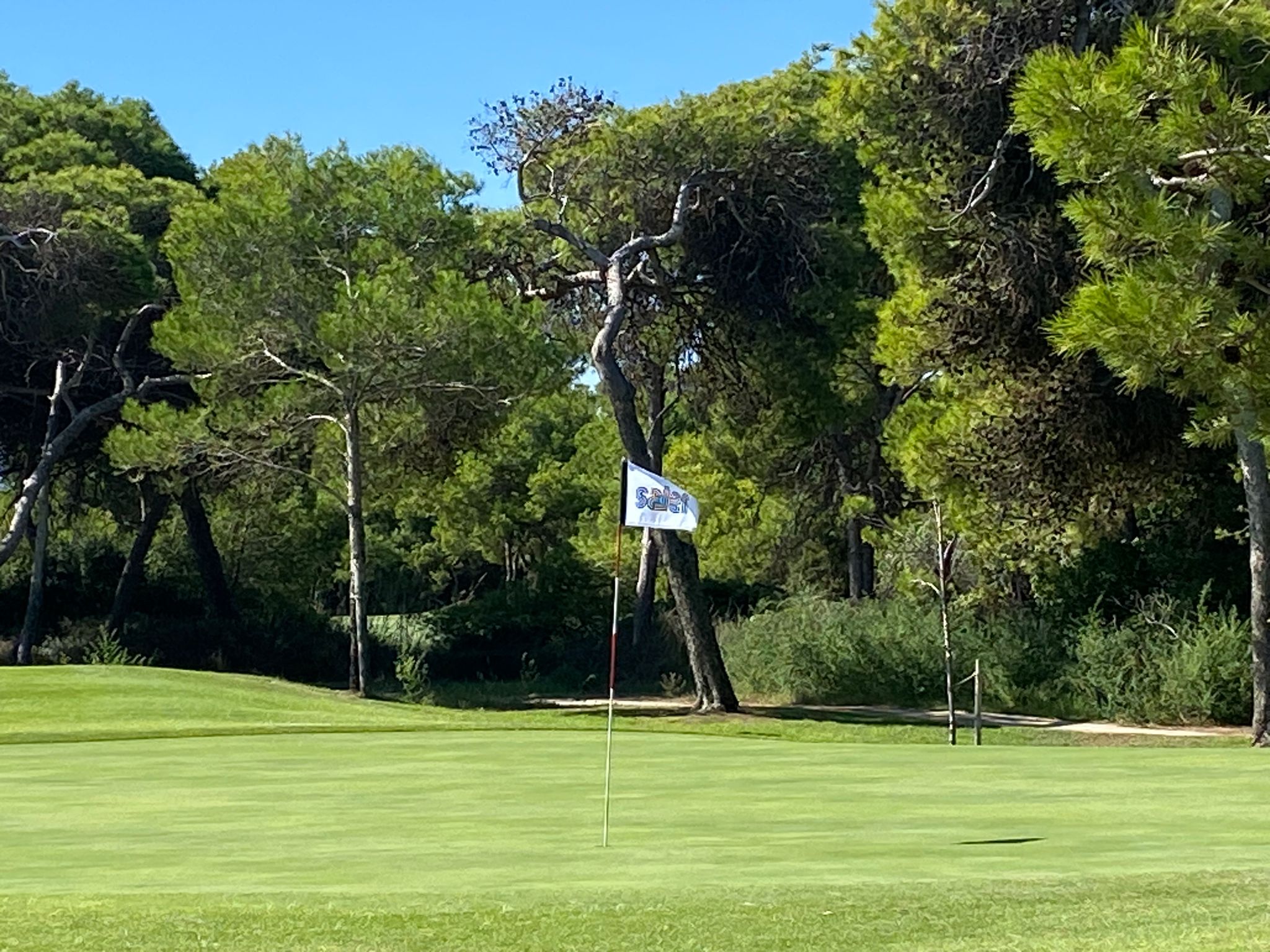 Galería de fotos en el campo de golf del Parador El Saler Galería de fotos en el campo de golf del Parador El Saler