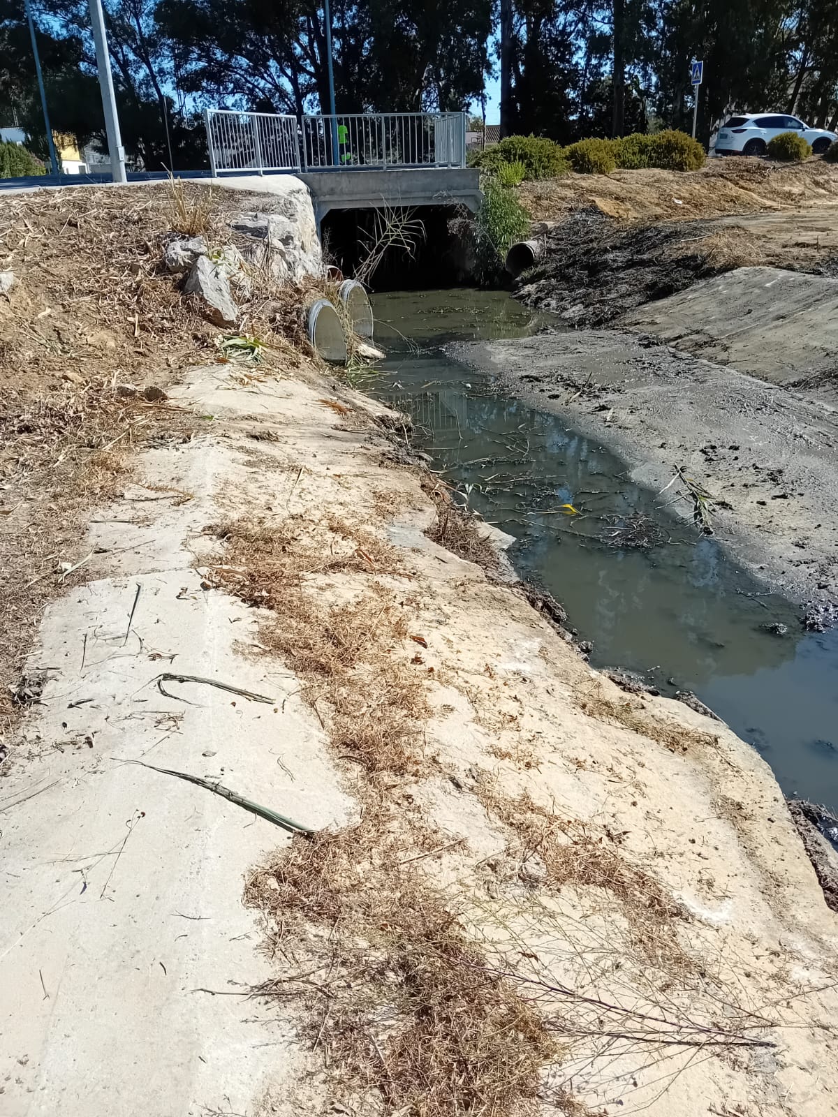 El Ayuntamiento de Puerto Real inicia la limpieza de cunetas en Barrio Jarana y Marquesado El Ayuntamiento de Puerto Real inicia la limpieza de cunetas en Barrio Jarana y Marquesado