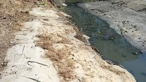 Una de las cunetas en la zona rural de Puerto Real Una de las cunetas en la zona rural de Puerto Real