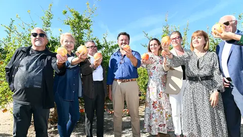 Inicio de la campaña de recolección de la granada Mollar de Elche de 2024. Inicio de la campaña de recolección de la granada Mollar de Elche de 2024.