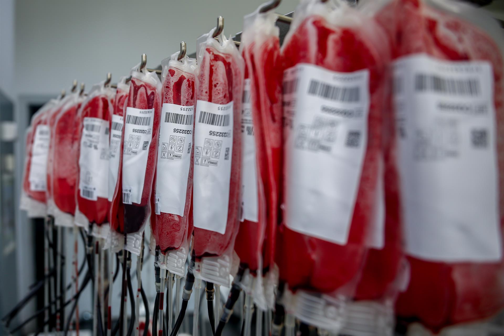 Campaña de otoño de maratones de donación de sangre: pequeños gestos que salvan vidas Campaña de otoño de maratones de donación de sangre: pequeños gestos que salvan vidas