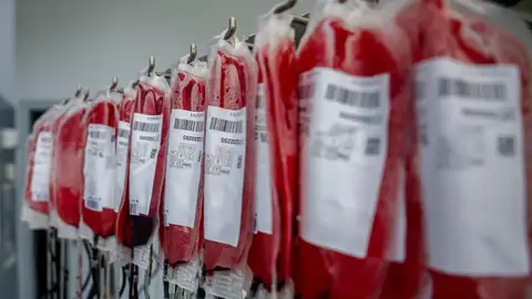 Campaña de otoño de maratones de donación de sangre: pequeños gestos que salvan vidas Campaña de otoño de maratones de donación de sangre: pequeños gestos que salvan vidas