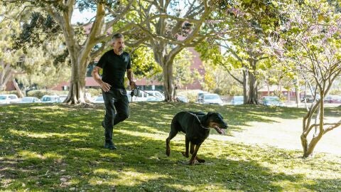 Hombre paseando a un perro