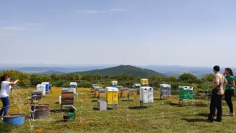 Reactiva Brañosera facilita la instalación de colmenas digitalizadas y hoteles para insectos en el municipio más antiguo de España .