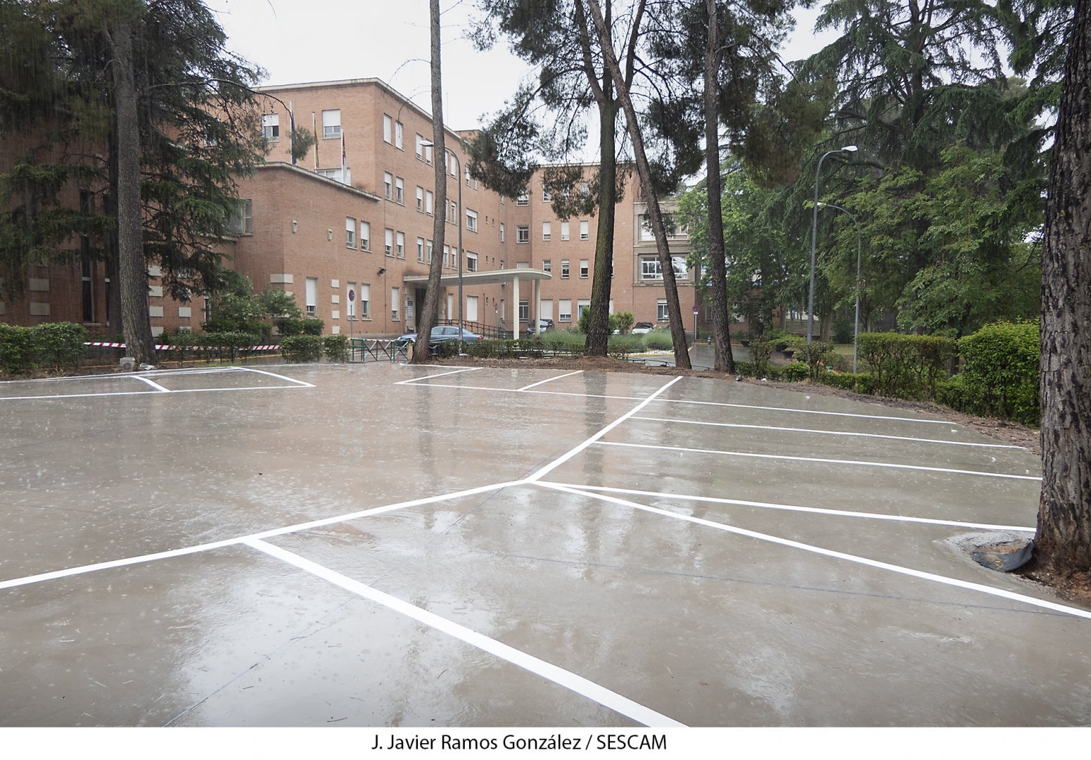 Traumatología en “El Ferial” Traumatología en “El Ferial”