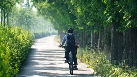 Hombre montando en bici Madrid retirará las bicicletas privadas de alquiler de sus calles tras hacerlo también con los patinetes