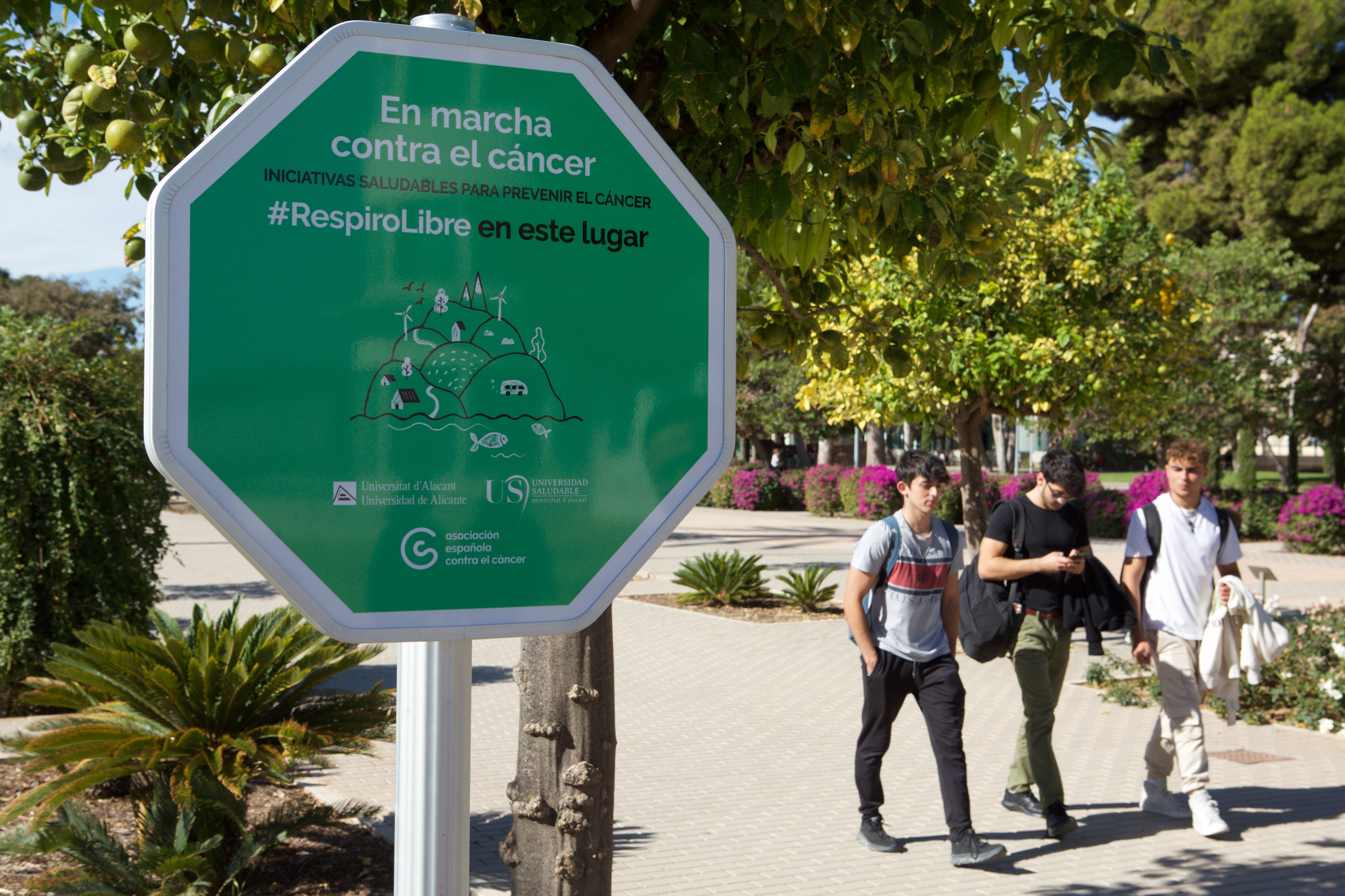 La Universidad de Alicante amplía sus zonas libres de humos en el campus La Universidad de Alicante amplía sus zonas libres de humos en el campus
