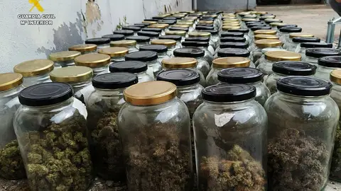 La Guardia Civil desmantela un grupo dedicado al cultivo de marihuana que tenía usaba un piso de Santa Pola. La Guardia Civil desmantela un grupo dedicado al cultivo de marihuana que tenía usaba un piso de Santa Pola.