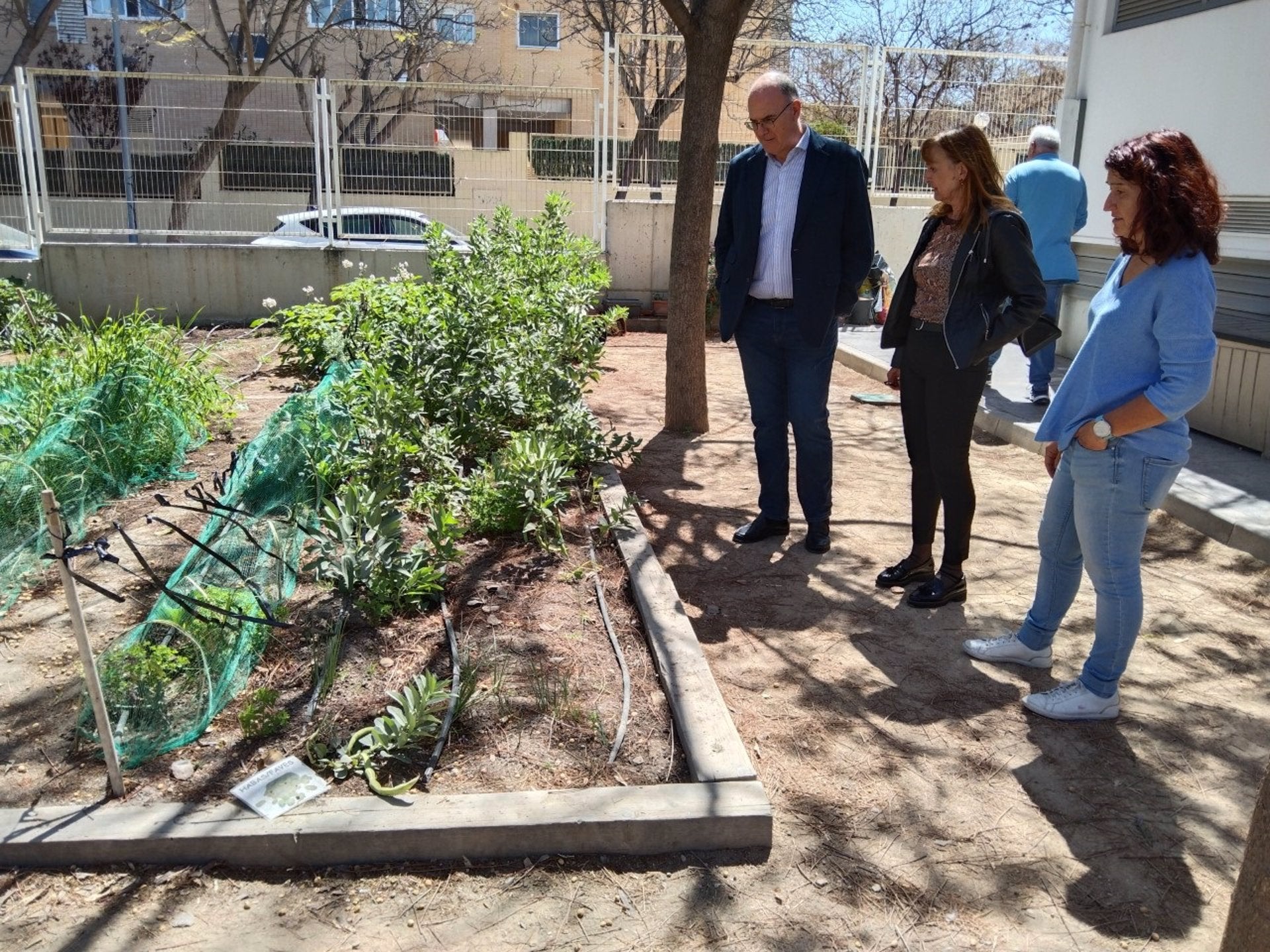18 colegios de Alicante reciben ayudas municipales para proyectos de educación ambiental 18 colegios de Alicante reciben ayudas municipales para proyectos de educación ambiental