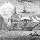 El viaje del Beagle es el título más común del diario de viaje que Charles Darwin publicó en 1839, titulado originalmente Diario y Observaciones. El viaje del Beagle es el título más común del diario de viaje que Charles Darwin publicó en 1839, titulado originalmente Diario y Observaciones.