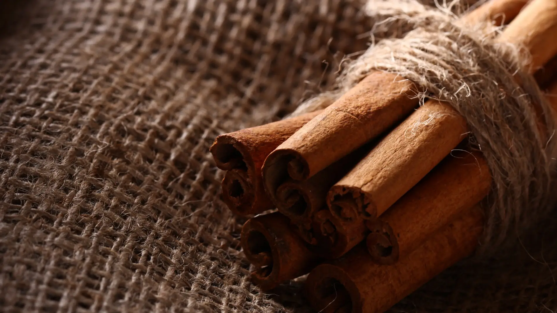Palitos de canela sobre tela Palitos de canela sobre tela