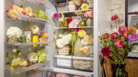 Por qu&eacute; es tan peligroso el fridgescaping, la tendencia de decorar las neveras por dentro con flores