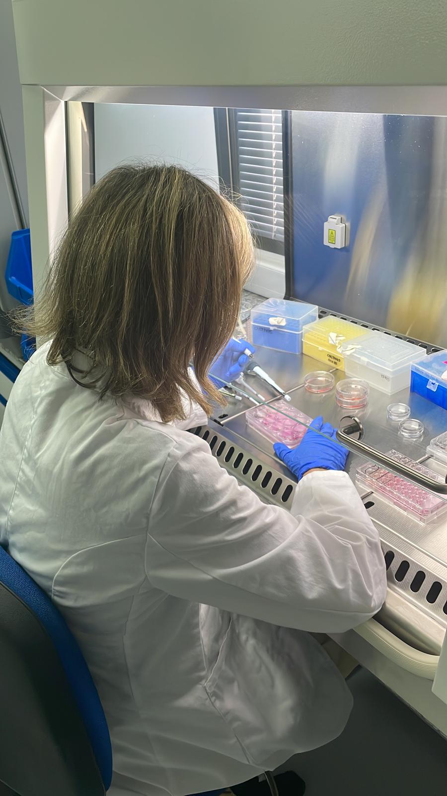 El Centro de Cirugía de Mínima Invasión Jesús Usón oferta cuatro puestos de trabajo para dos investigadores y dos técnicos El Centro de Cirugía de Mínima Invasión Jesús Usón oferta cuatro puestos de trabajo para dos investigadores y dos técnicos