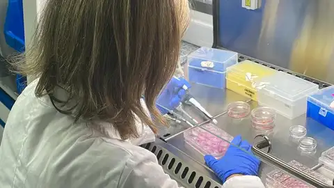 El Centro de Cirugía de Mínima Invasión Jesús Usón oferta cuatro puestos de trabajo para dos investigadores y dos técnicos El Centro de Cirugía de Mínima Invasión Jesús Usón oferta cuatro puestos de trabajo para dos investigadores y dos técnicos