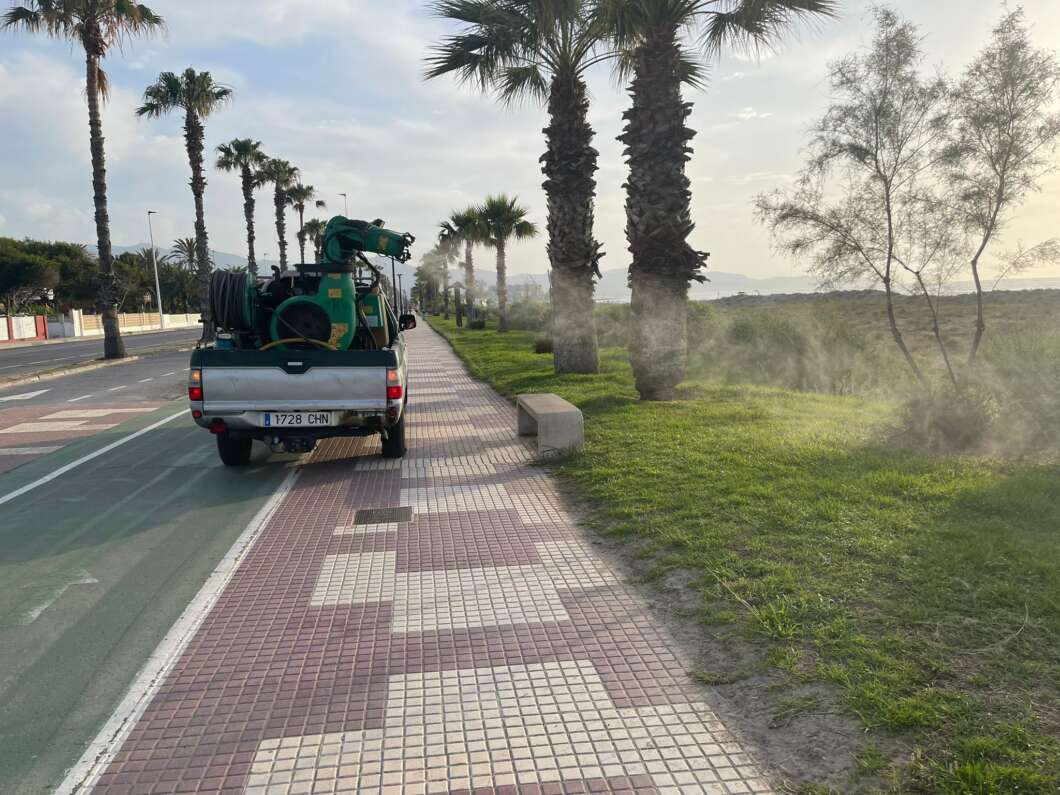 Castelló duplica la cuantía del contrato para el control y lucha contra los mosquitos para los próximos 3 años Castelló duplica la cuantía del contrato para el control y lucha contra los mosquitos para los próximos 3 años