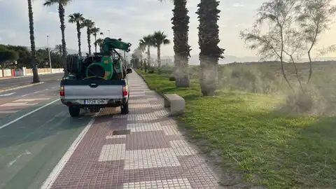 Castelló duplica la cuantía del contrato para el control y lucha contra los mosquitos para los próximos 3 años Castelló duplica la cuantía del contrato para el control y lucha contra los mosquitos para los próximos 3 años