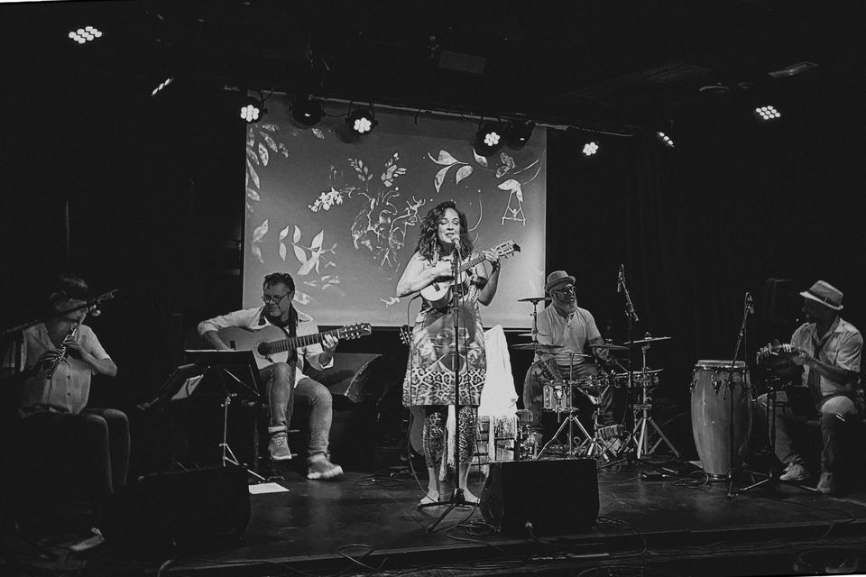 La artistas hispano-brasileña Vanessa Borhagian ofrece hoy la primera de sus dos citas en Segovia La artistas hispano-brasileña Vanessa Borhagian ofrece hoy la primera de sus dos citas en Segovia