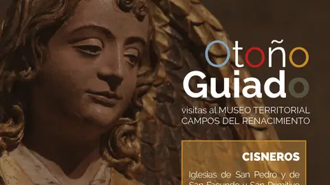 ‘Otoño Guiado’ celebra su tercera edición en Campos del Renacimiento con nuevas visitas culturales .