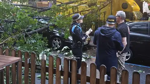Susto en el Come y Calle: una rama cae sobre una de las 'food trucks' y daña a coches aparcados en San Francisco Susto en el Come y Calle: una rama cae sobre una de las 'food trucks' y daña a coches aparcados en San Francisco