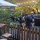 Susto en el Come y Calle: una rama cae sobre una de las 'food trucks' y daña a coches aparcados en San Francisco Susto en el Come y Calle: una rama cae sobre una de las 'food trucks' y daña a coches aparcados en San Francisco