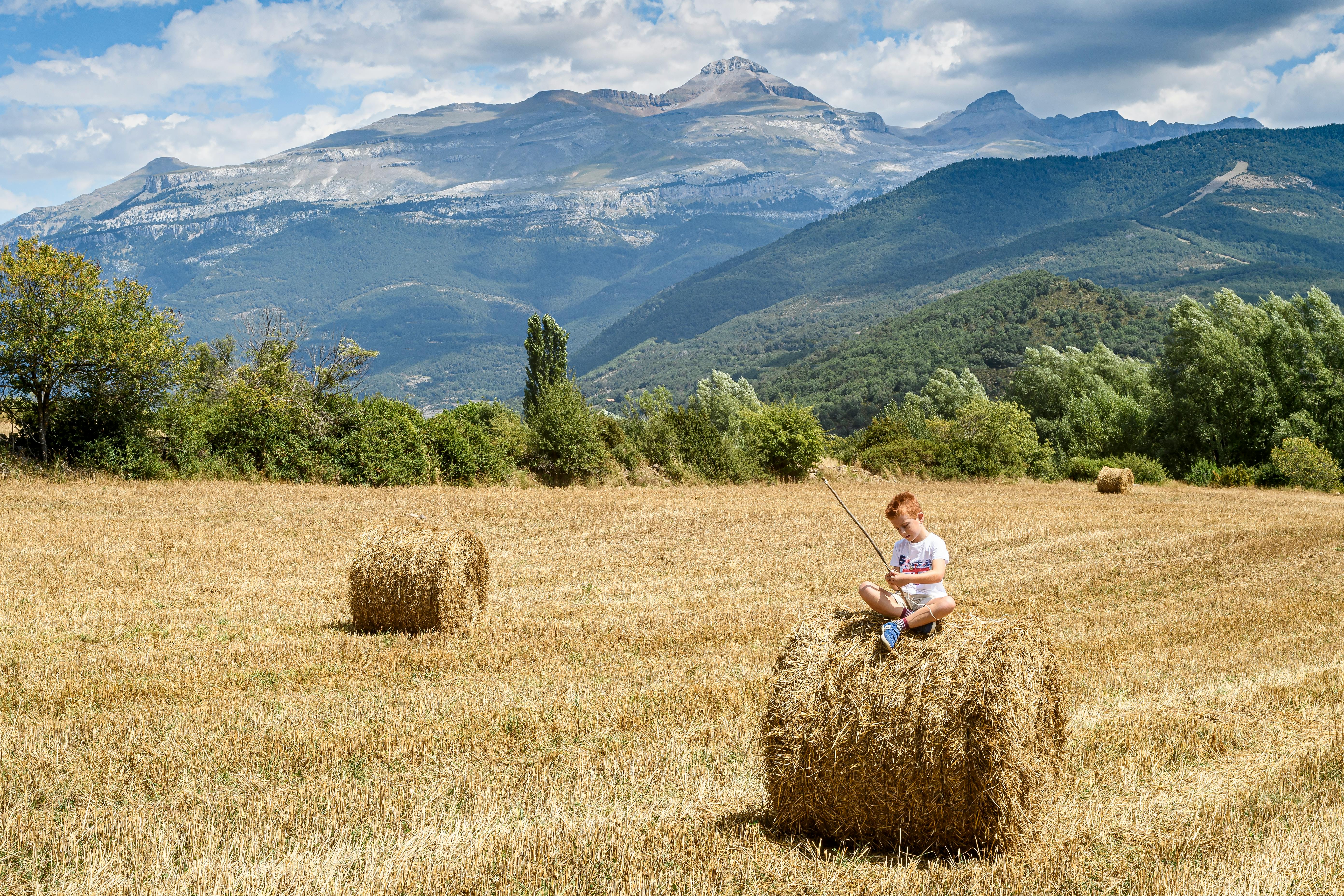 El cambio climático no afecta a todos los municipios por igual El cambio climático no afecta a todos los municipios por igual