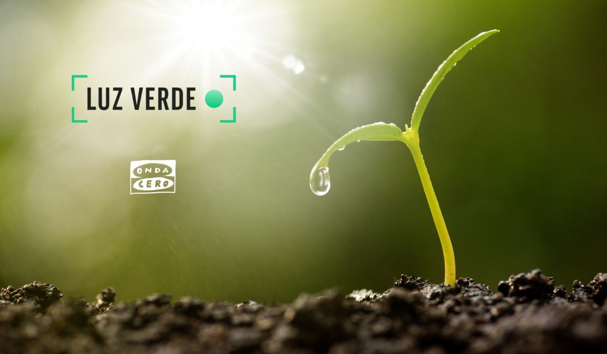 Euskadi reduce un 33% sus emisiones de CO2 Euskadi reduce un 33% sus emisiones de CO2