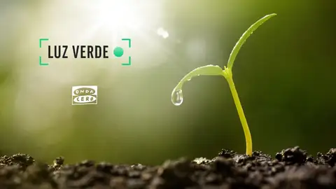 Luz verde Euskadi 3 Luz verde Euskadi 3