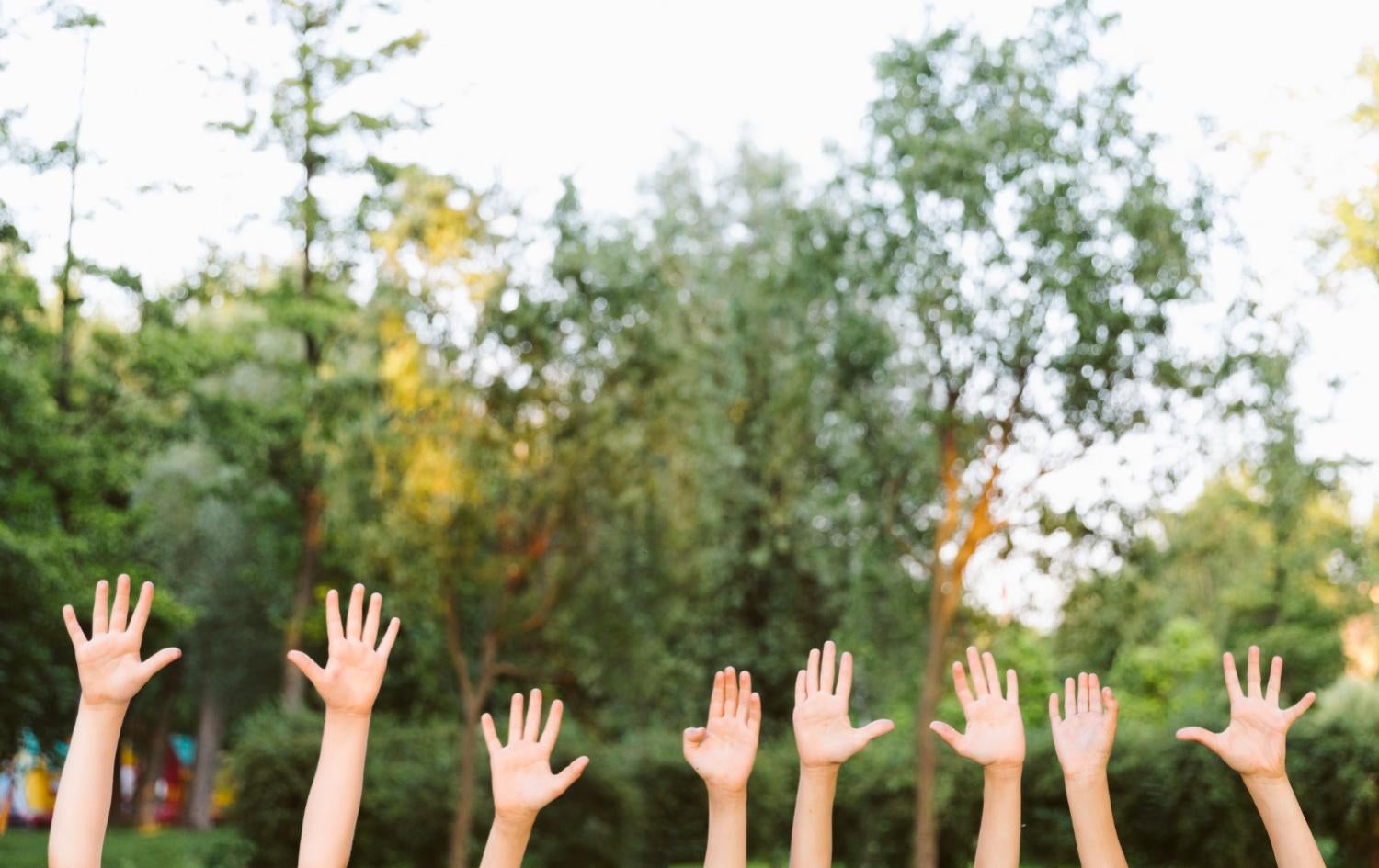 Transformando vidas y rompiendo barreras: el centro que da un futuro laboral a personas con discapacidad intelectual Transformando vidas y rompiendo barreras: el centro que da un futuro laboral a personas con discapacidad intelectual