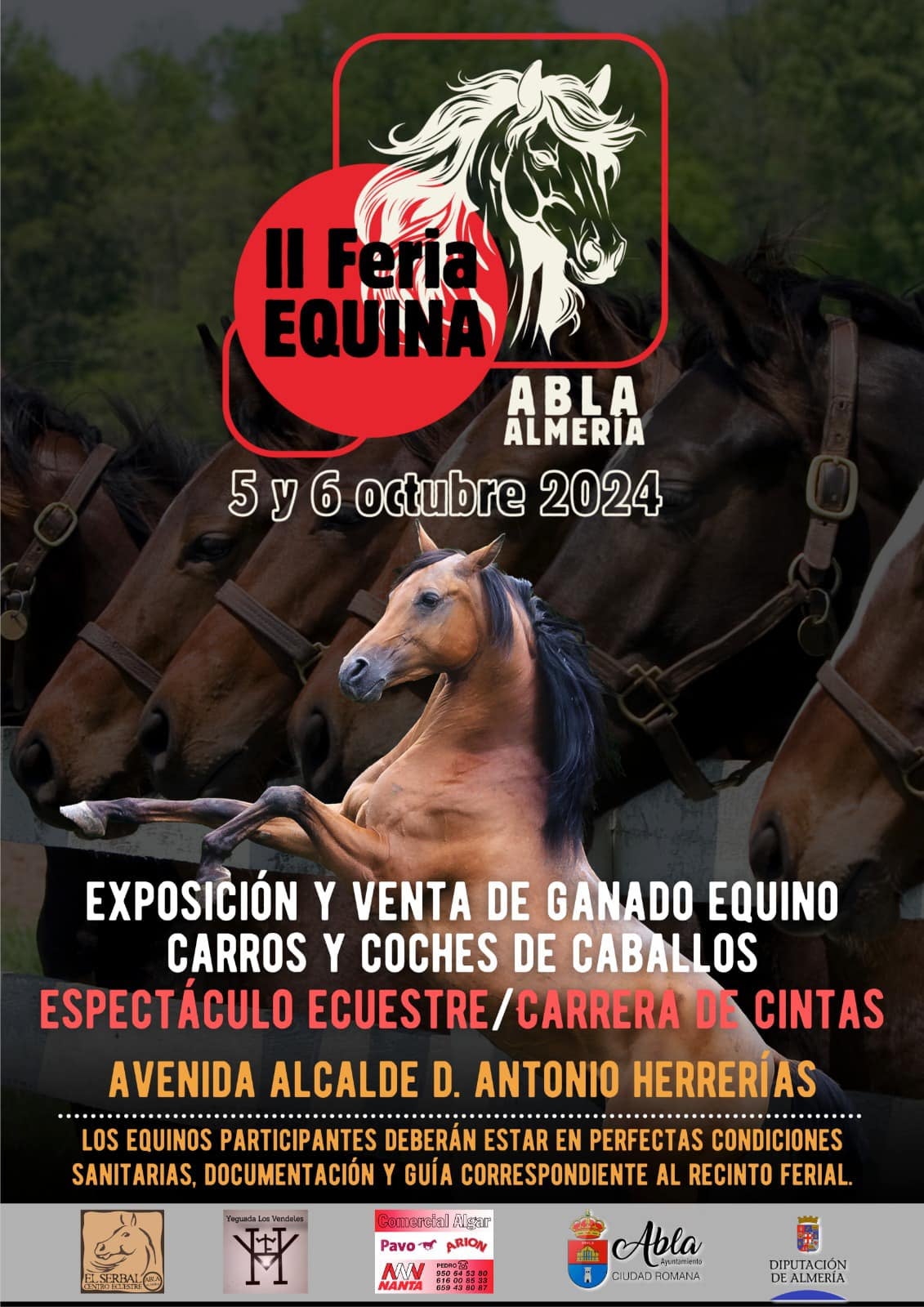 El encanto de octubre en Abla El encanto de octubre en Abla