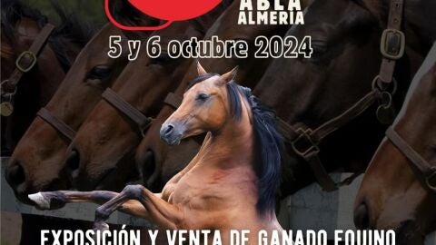 abla-feria equina