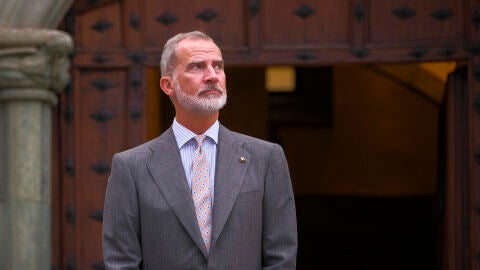 Imagen de archivo del rey de Espa&ntilde;a, Felipe VI.