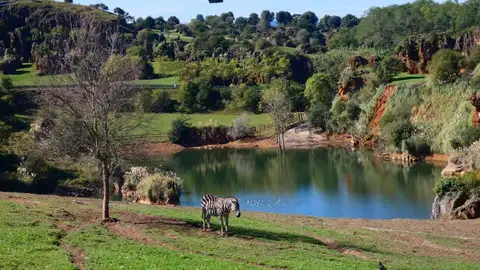 Cantur publica la convocatoria para la dirección de Cabárceno tras la dimisión de su directora Cantur publica la convocatoria para la dirección de Cabárceno tras la dimisión de su directora