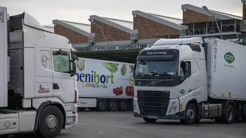 Imagen de varios camiones de una empresa de transporte Imagen de varios camiones de una empresa de transporte