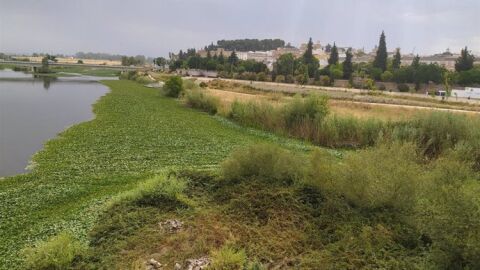 Situaci&oacute;n del Guadiana a su paso por Badajoz