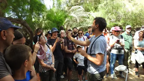 Imagen de archivo de una actividad en el Clot de Galvany de Elche. Imagen de archivo de una actividad en el Clot de Galvany de Elche.
