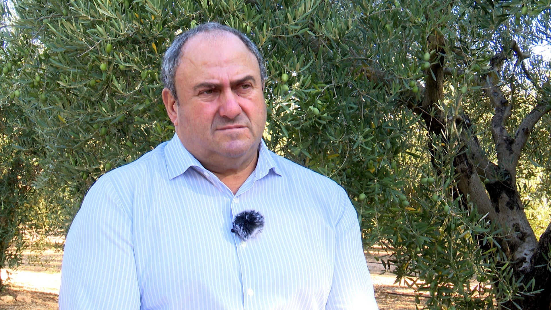 Julián Martínez: "En Castilla-La Mancha tenemos poca agua, pero la utilizamos muy bien" Julián Martínez: "En Castilla-La Mancha tenemos poca agua, pero la utilizamos muy bien"